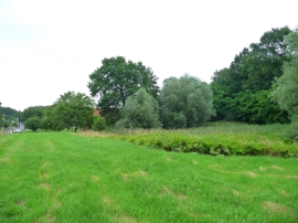 Działka budowlana o pow. 2,26 ha w miejscowości Przytok na sprzedaż!!!